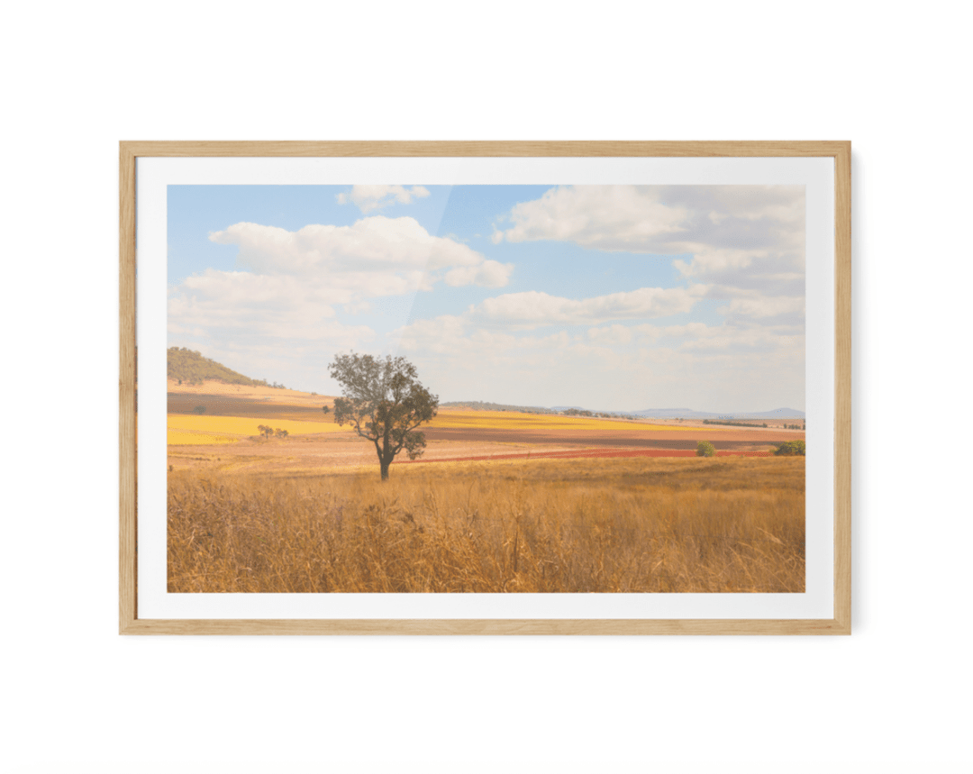 Darling Downs - Queensland Country Landscape Photographic Print by Edwina Cameron - I Heart Wall Art - Poster Print, Canvas Print or Framed Art Print