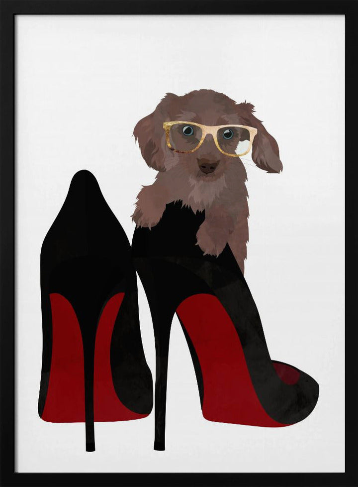 Daschand Shoe - Stretched Canvas, Poster or Fine Art Print I Heart Wall Art