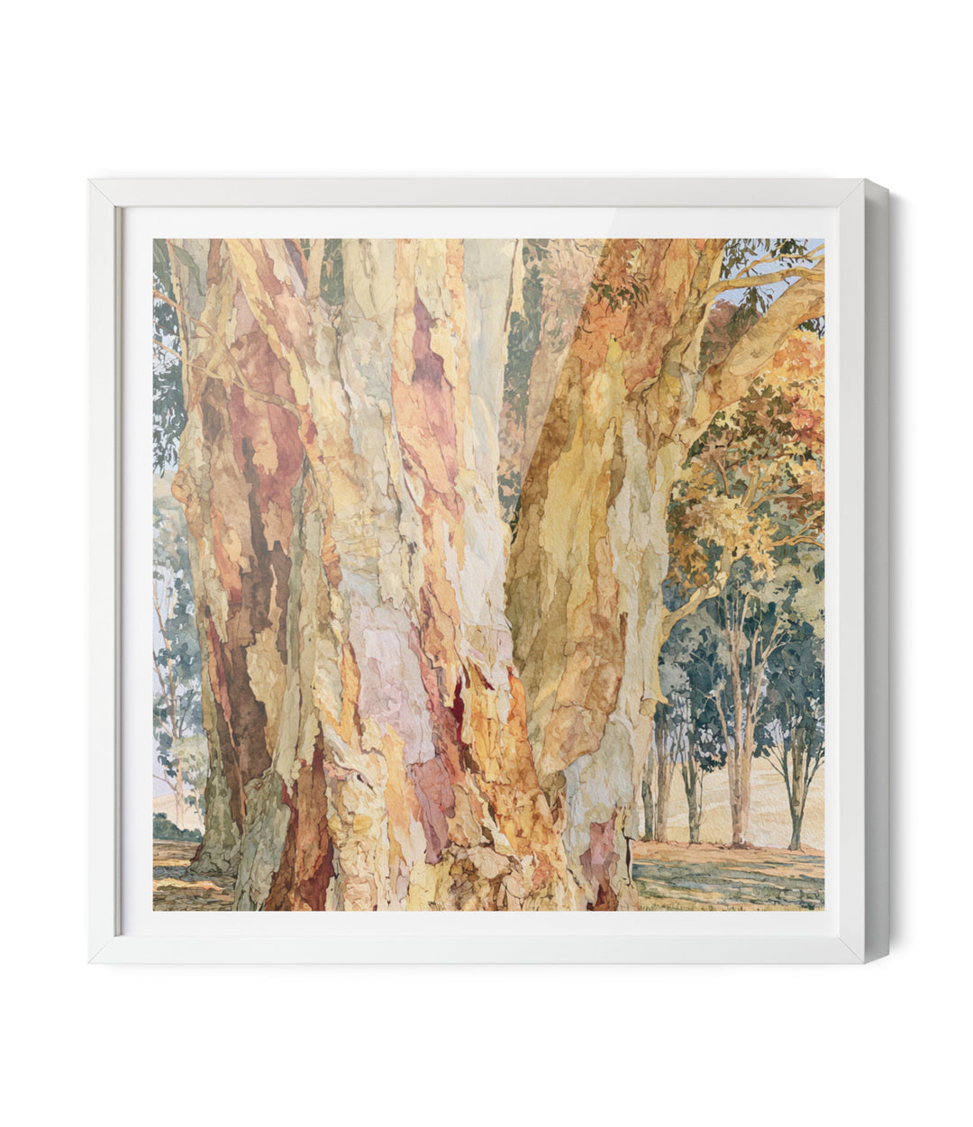 Dawn Finds Branch I by IHeartStudio - Australian Eucalypt Bark Canvas Print