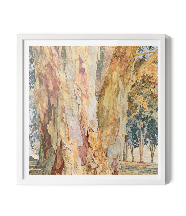Dawn Finds Branch I by IHeartStudio - Australian Eucalypt Bark Canvas Print