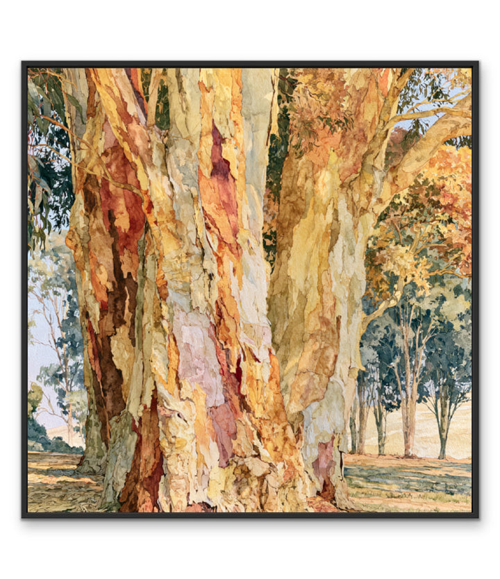 Dawn Finds Branch I by IHeartStudio - Australian Eucalypt Bark Canvas Print