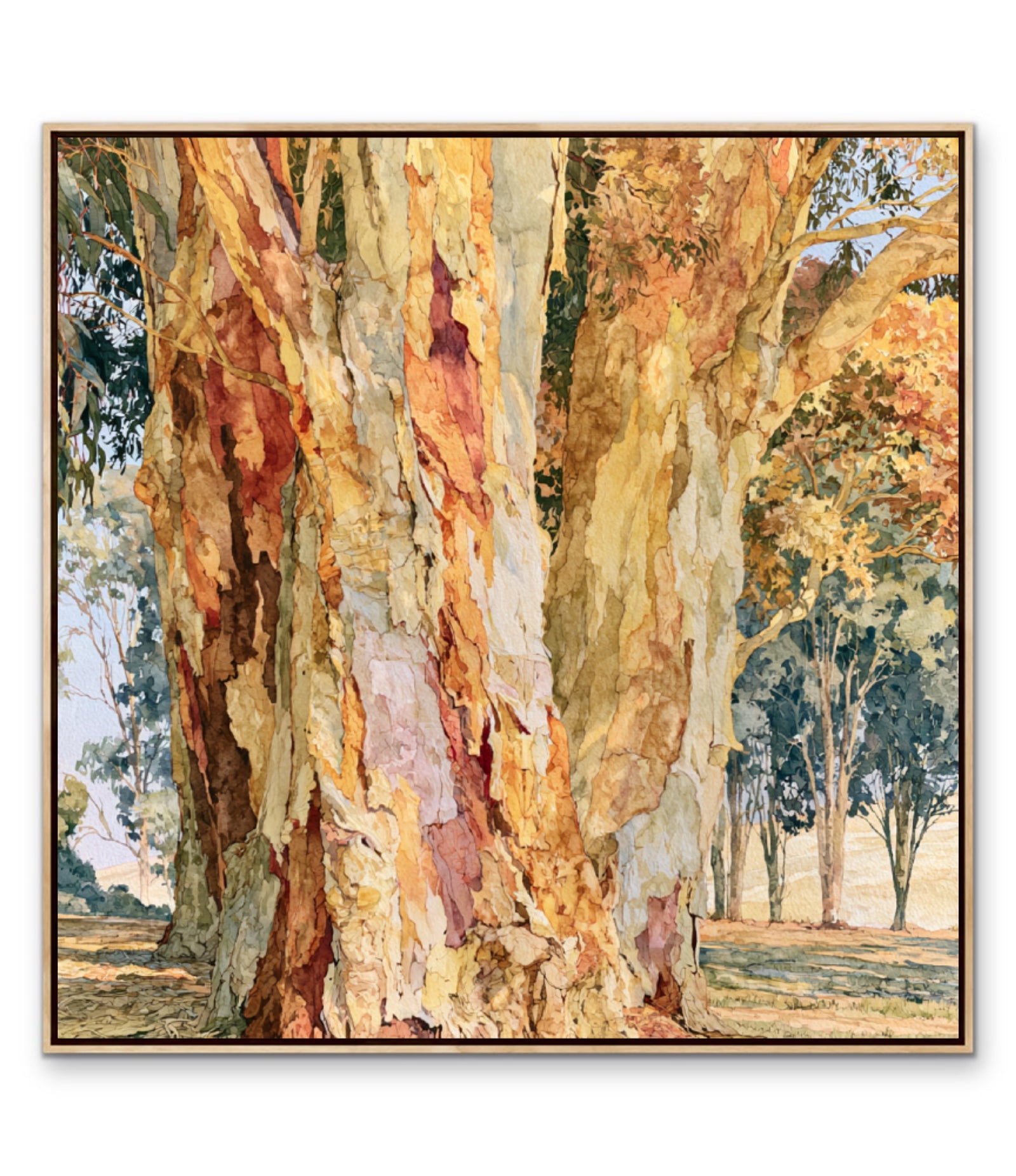 Dawn Finds Branch I by IHeartStudio - Australian Eucalypt Bark Canvas Print