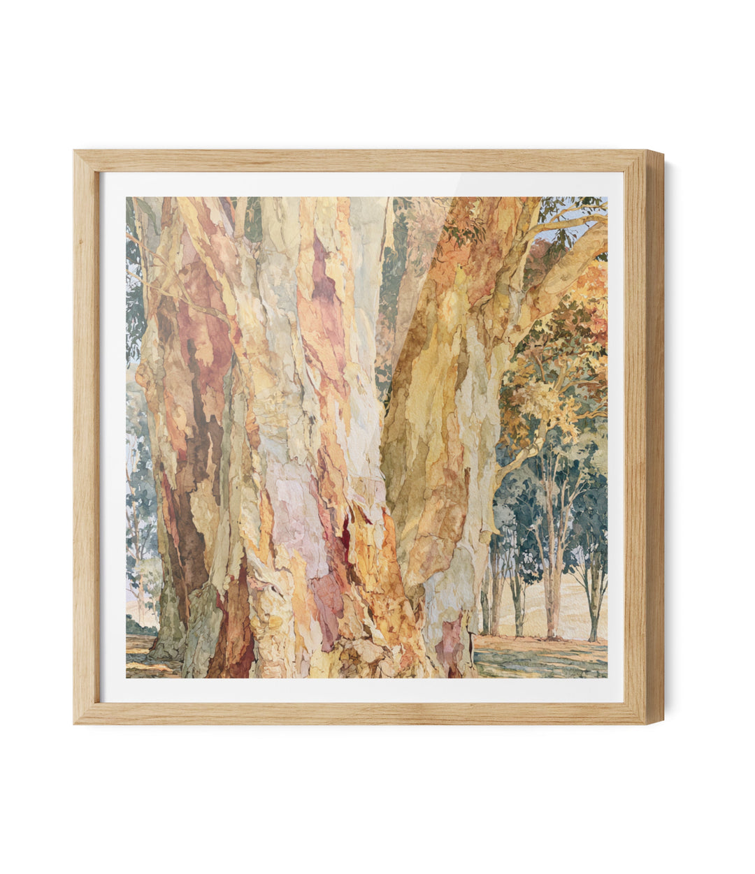 Dawn Finds Branch I by IHeartStudio - Australian Eucalypt Bark Canvas Print