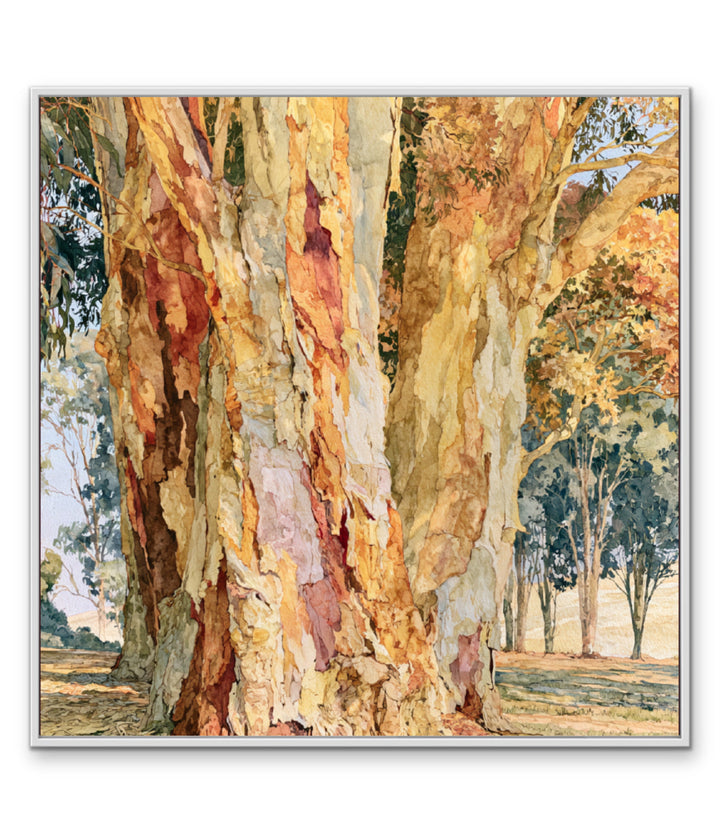 Dawn Finds Branch I by IHeartStudio - Australian Eucalypt Bark Canvas Print