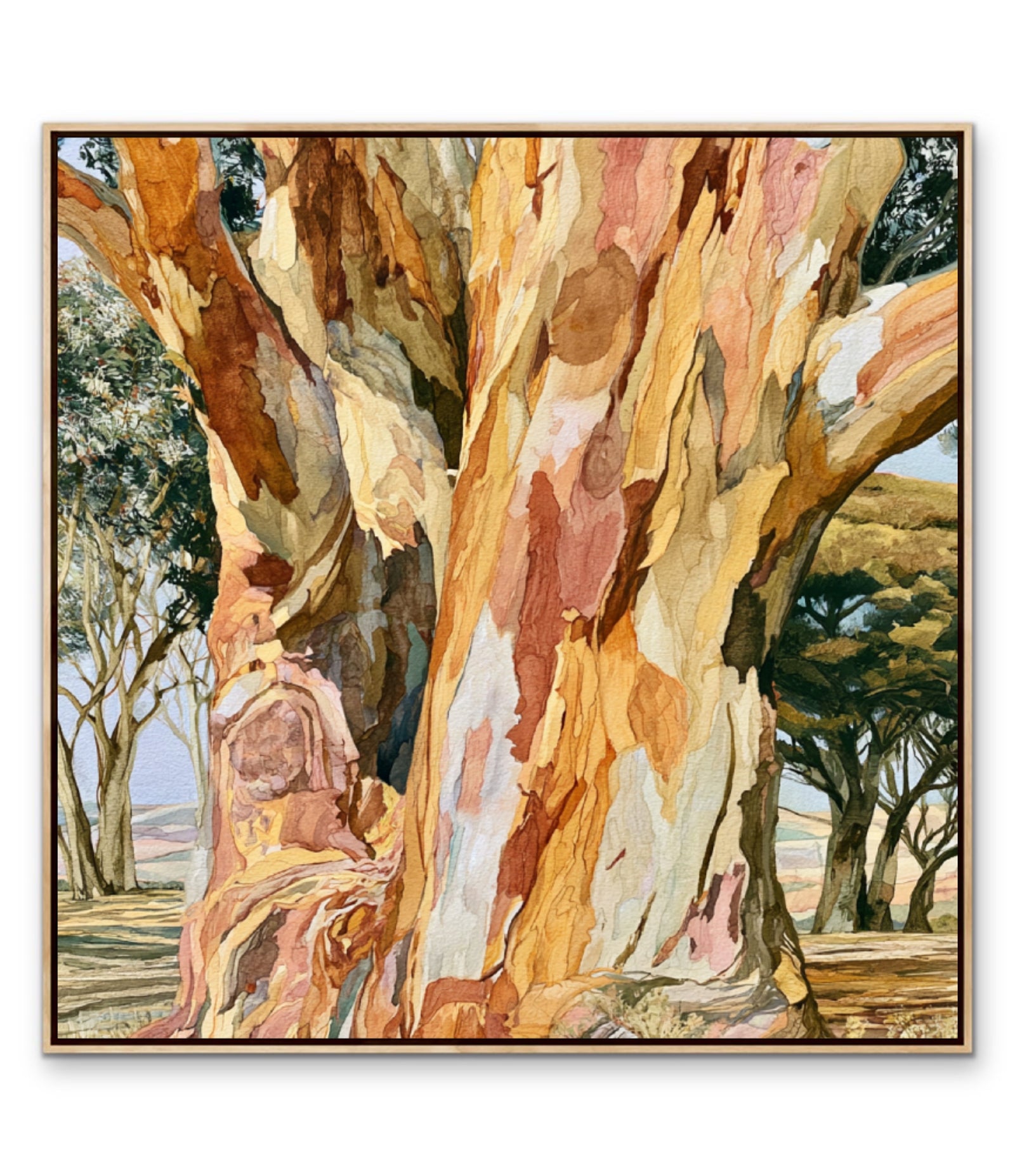 Dawn Finds Branch II by IHeartStudio - Australian Eucalypt Bark Canvas Print