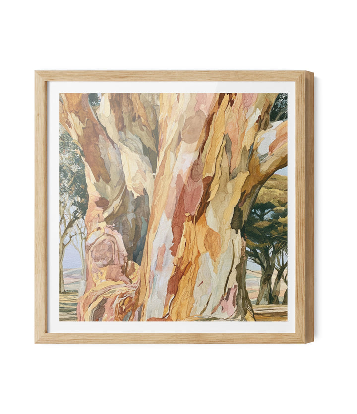 Dawn Finds Branch II by IHeartStudio - Australian Eucalypt Bark Canvas Print
