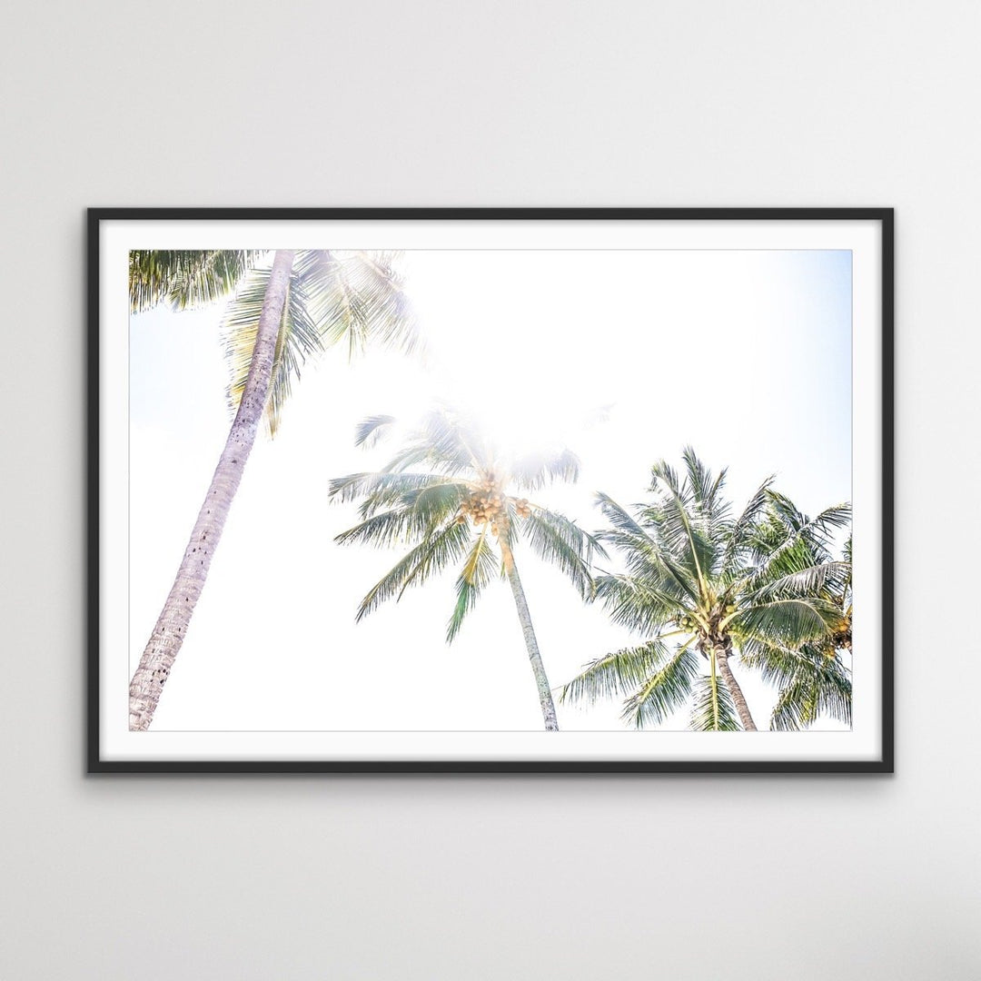 Daydream Island - Boho Palm Tropical Wall Art or Canvas Print - I Heart Wall Art