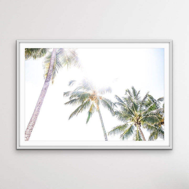 Daydream Island - Boho Palm Tropical Wall Art or Canvas Print - I Heart Wall Art