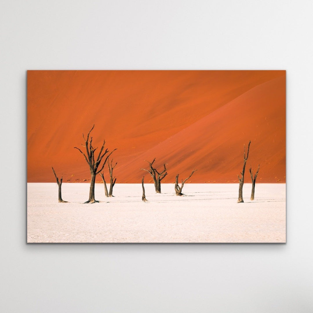Dead Lake- Deadvlei Namibia Photographic Art Print  or Canvas Print - I Heart Wall Art