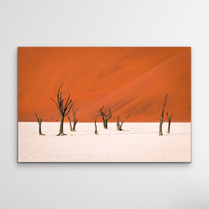 Dead Lake- Deadvlei Namibia Photographic Art Print  or Canvas Print - I Heart Wall Art