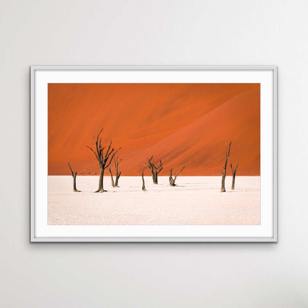 Dead Lake- Deadvlei Namibia Photographic Art Print  or Canvas Print - I Heart Wall Art