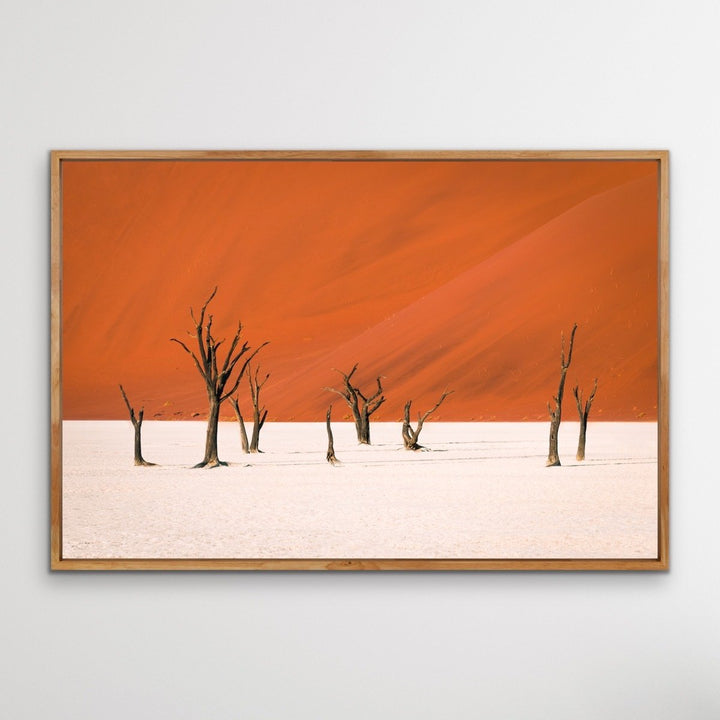 Dead Lake- Deadvlei Namibia Photographic Art Print  or Canvas Print - I Heart Wall Art