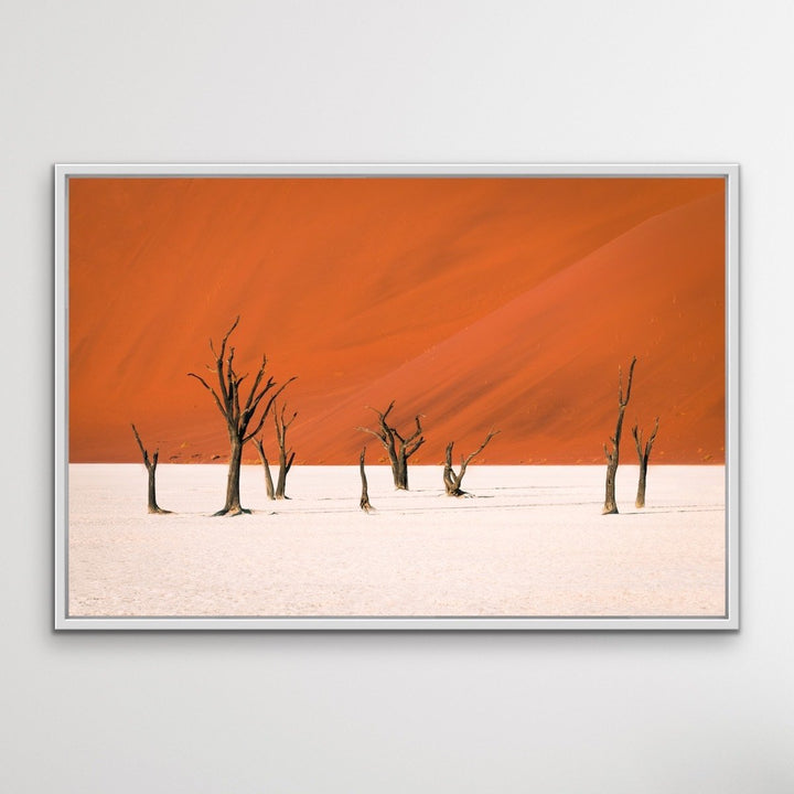 Dead Lake- Deadvlei Namibia Photographic Art Print  or Canvas Print - I Heart Wall Art