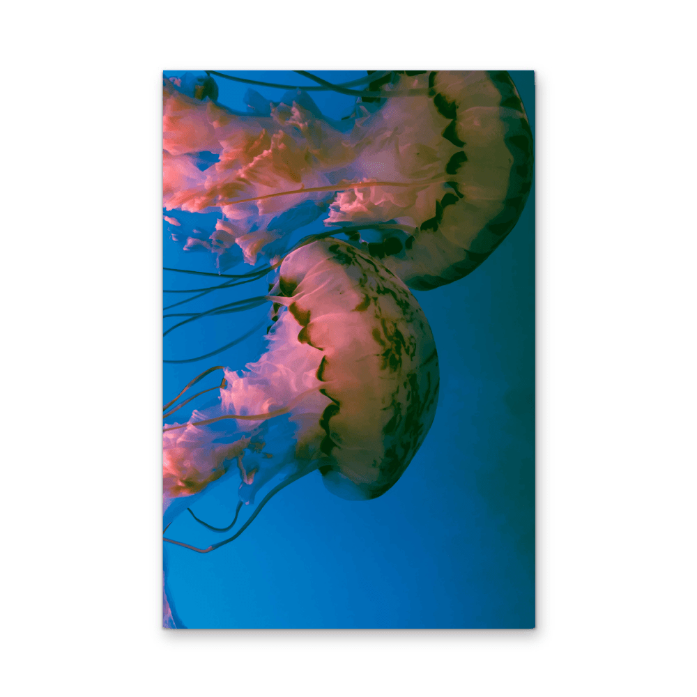 Deep Sea Jellies - Blue Oceanic Underwater Stretched Canvas or Wall Art Print - I Heart Wall Art - Poster Print, Canvas Print or Framed Art Print