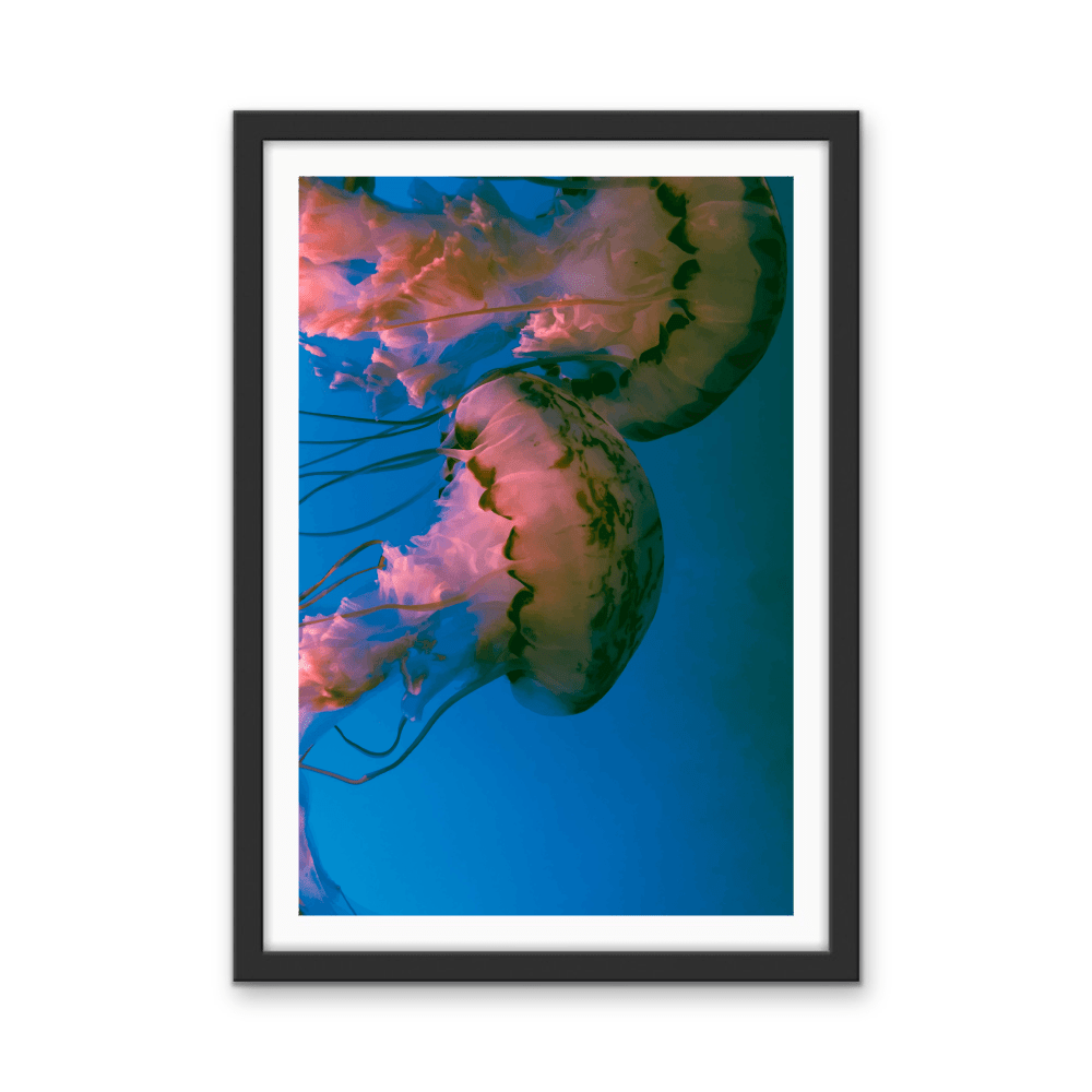 Deep Sea Jellies - Blue Oceanic Underwater Stretched Canvas or Wall Art Print - I Heart Wall Art - Poster Print, Canvas Print or Framed Art Print