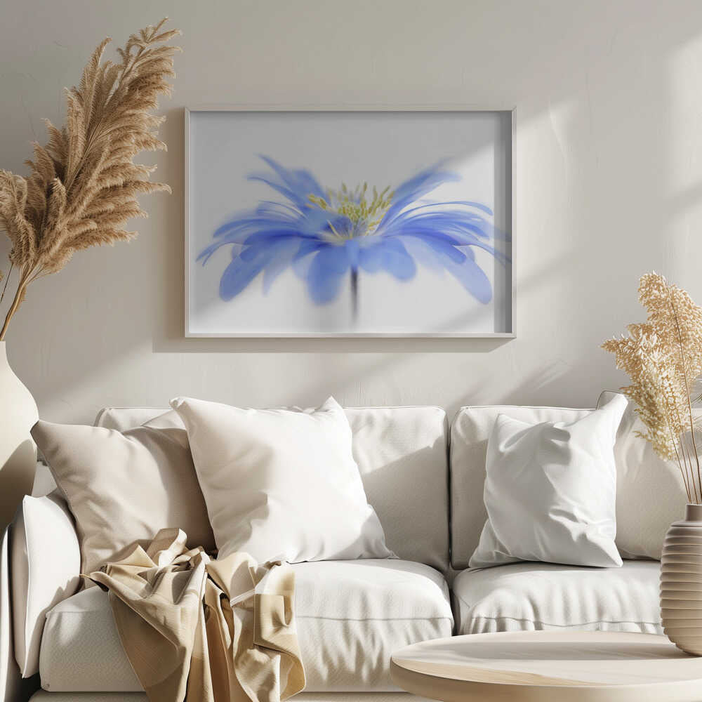 Delicate Blue Flower - Floral Photographic Stretched Canvas Poster or Fine Art Print