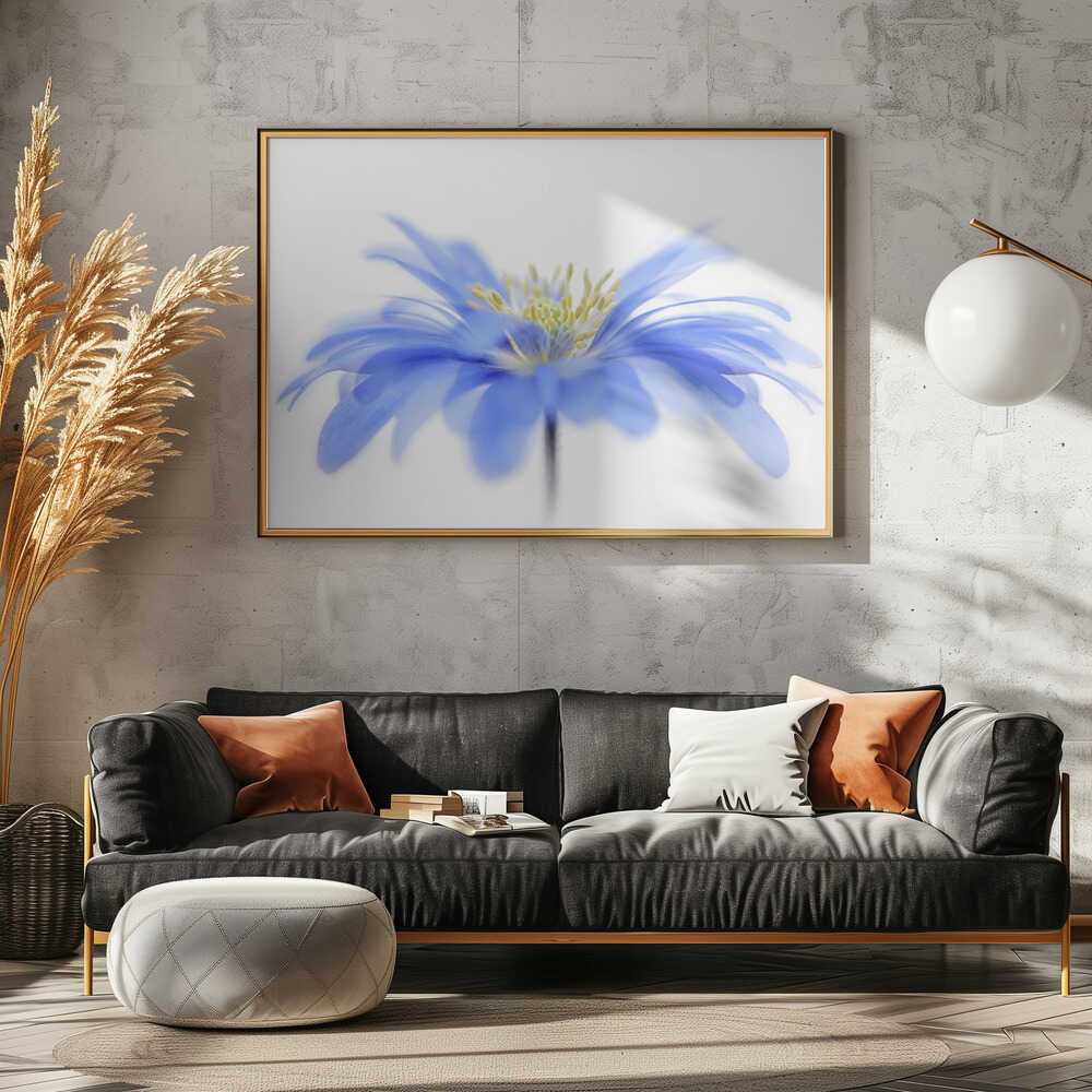 Delicate Blue Flower - Floral Photographic Stretched Canvas Poster or Fine Art Print