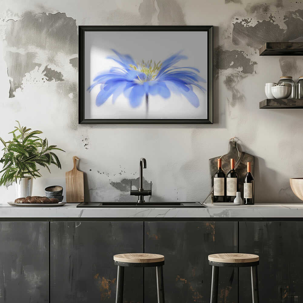 Delicate Blue Flower - Floral Photographic Stretched Canvas Poster or Fine Art Print