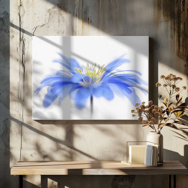 Delicate Blue Flower - Floral Photographic Stretched Canvas Poster or Fine Art Print
