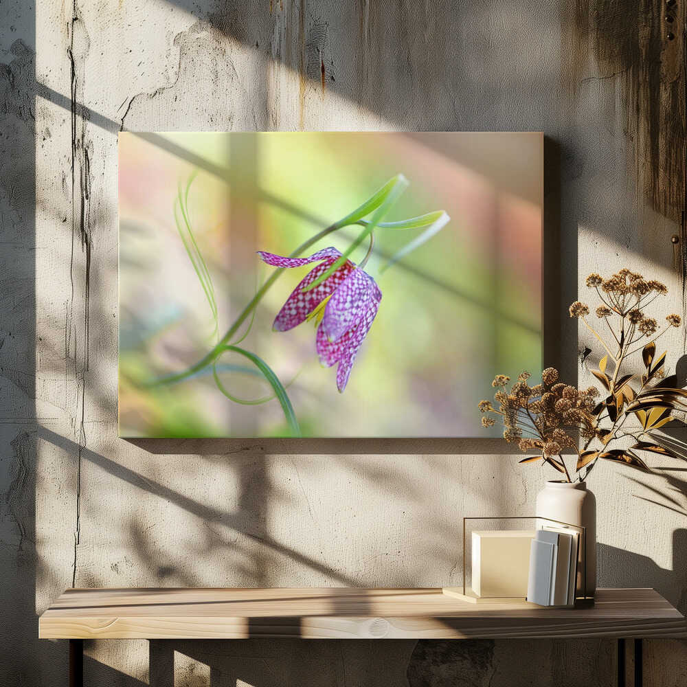 Delicate Checkered Flower - Floral Photographic Stretched Canvas Poster or Fine Art Print