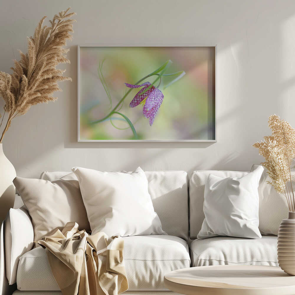 Delicate Checkered Flower - Floral Photographic Stretched Canvas Poster or Fine Art Print