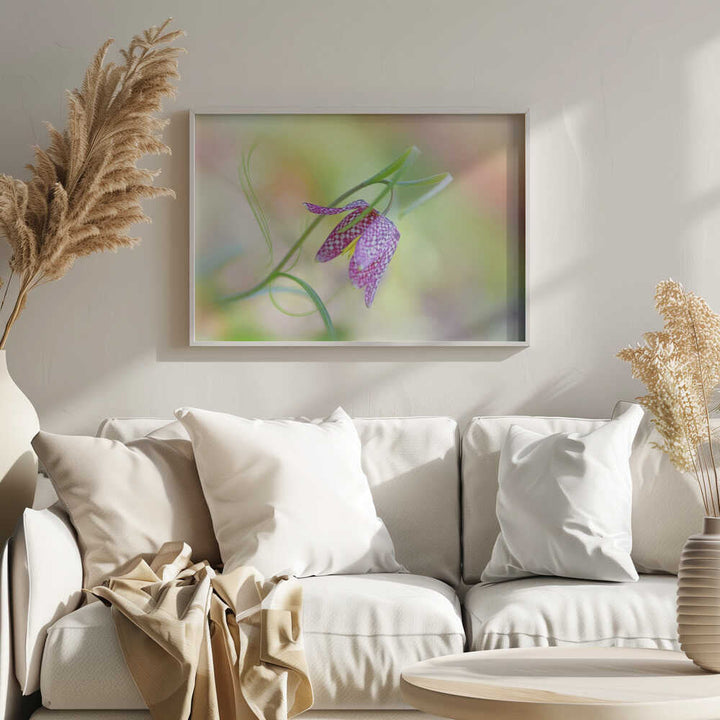 Delicate Checkered Flower - Floral Photographic Stretched Canvas Poster or Fine Art Print