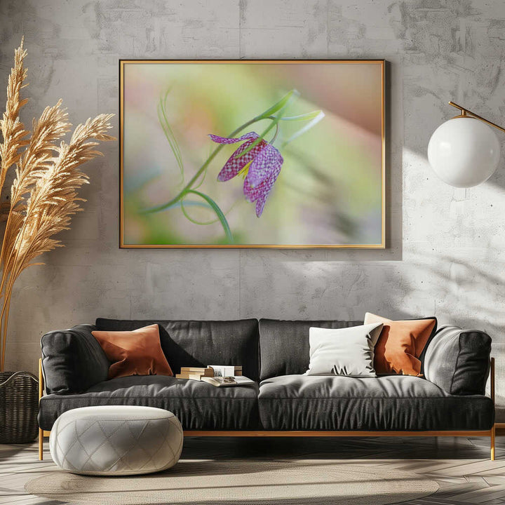 Delicate Checkered Flower - Floral Photographic Stretched Canvas Poster or Fine Art Print