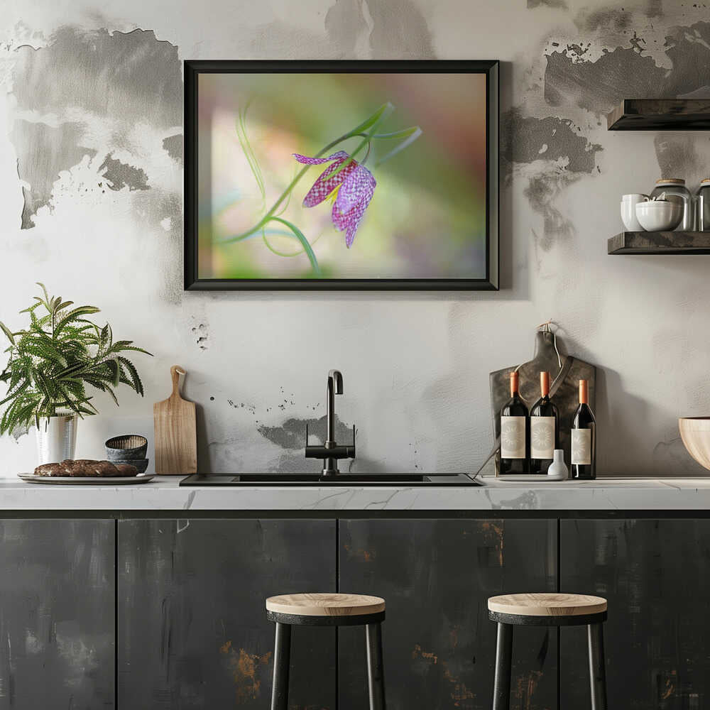 Delicate Checkered Flower - Floral Photographic Stretched Canvas Poster or Fine Art Print