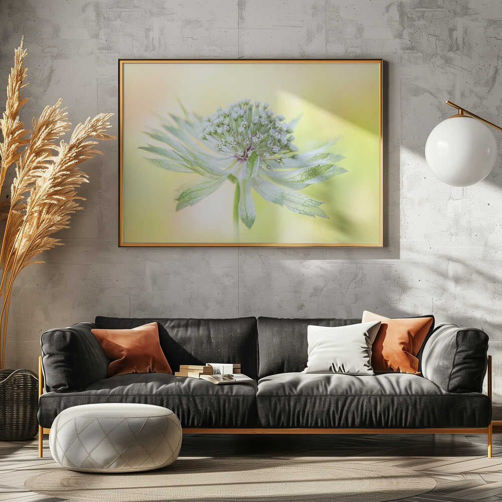 Delicate Green Bloom - Floral Photographic Stretched Canvas Poster or Fine Art Print