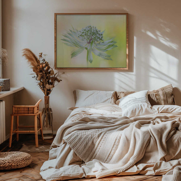 Delicate Green Bloom - Floral Photographic Stretched Canvas Poster or Fine Art Print