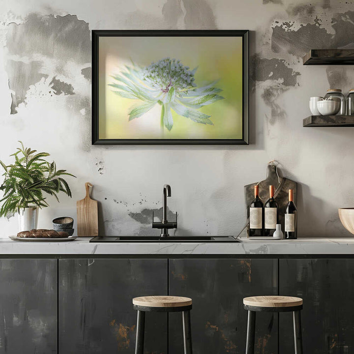Delicate Green Bloom - Floral Photographic Stretched Canvas Poster or Fine Art Print