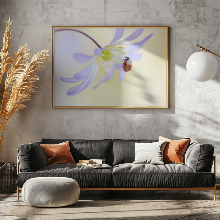 Delicate Ladybug Bloom - Floral Photographic Stretched Canvas Poster or Fine Art Print