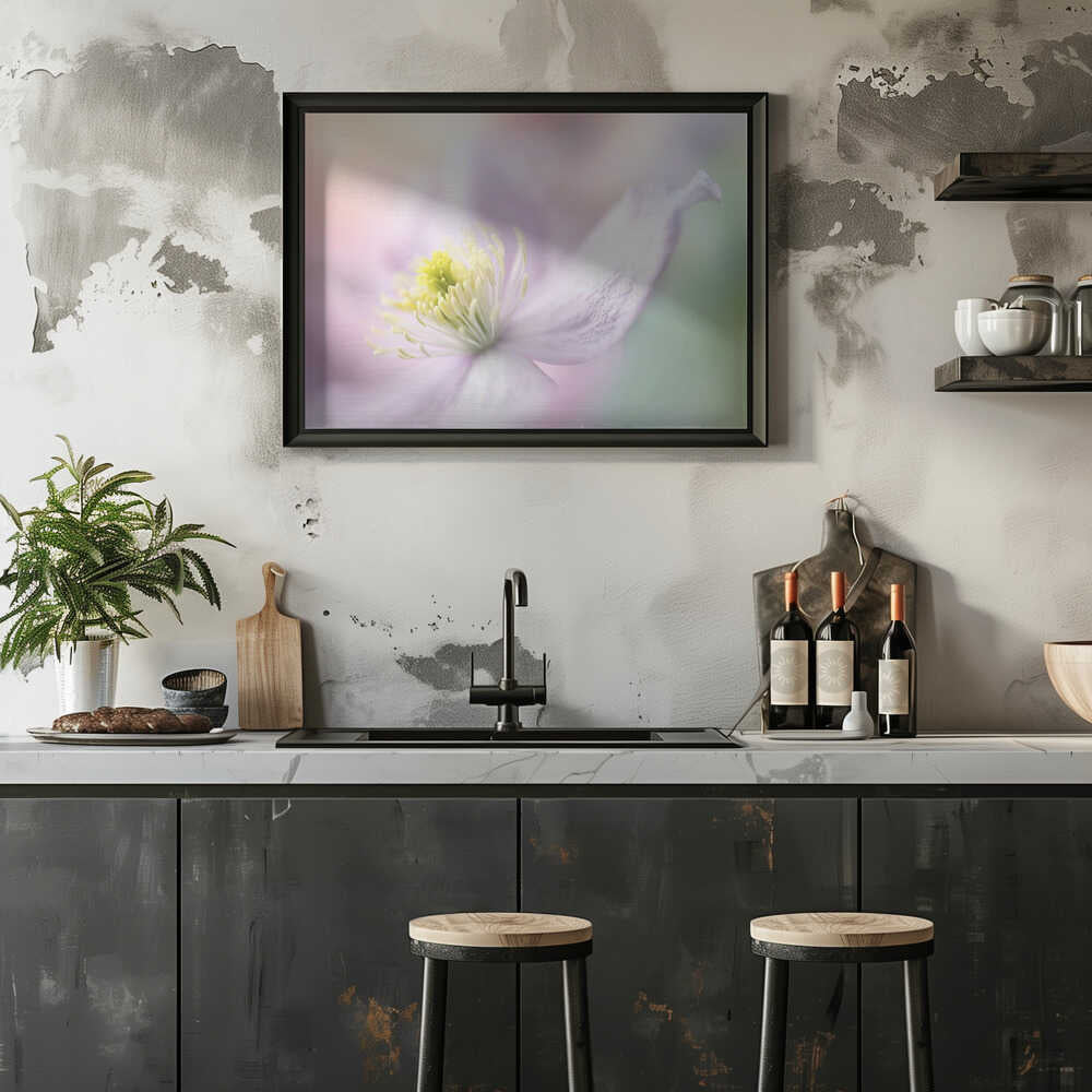 Delicate Pastel Bloom - Stretched Canvas Poster or Fine Art Print