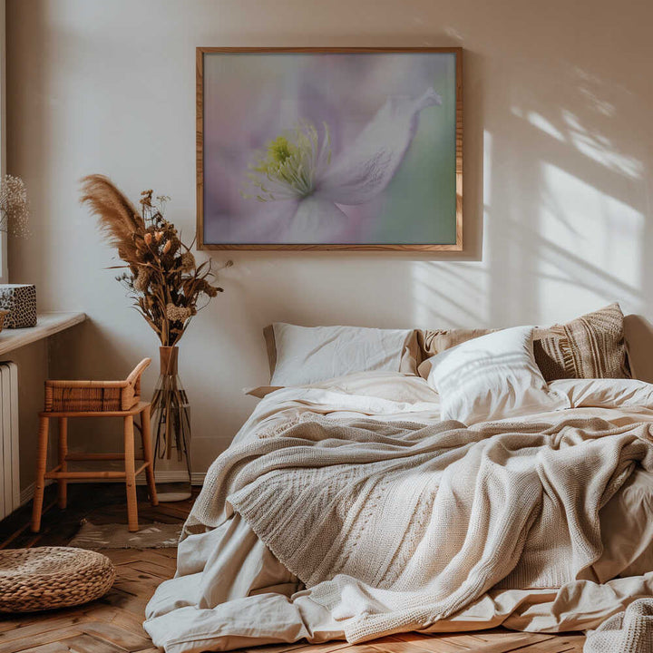 Delicate Pastel Bloom - Stretched Canvas Poster or Fine Art Print