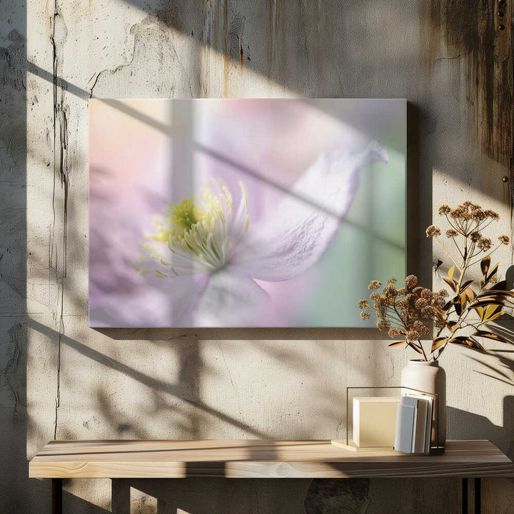 Delicate Pastel Bloom - Stretched Canvas Poster or Fine Art Print