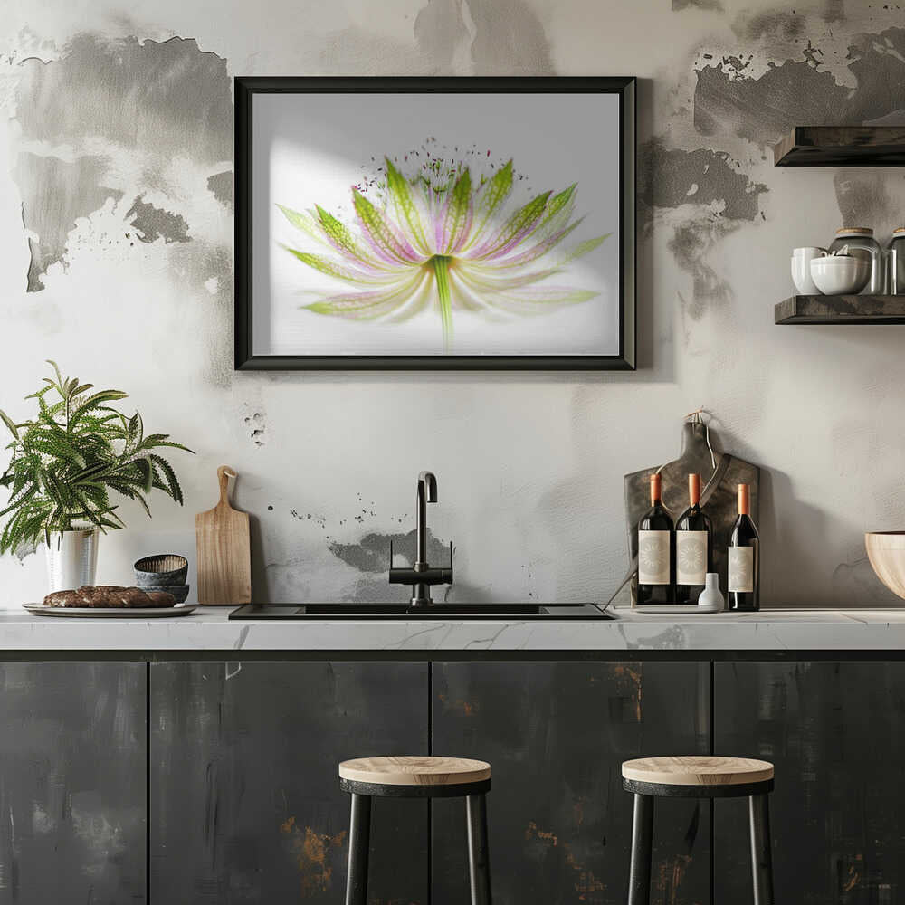 Delicate Pink Bloom - Floral Photographic Stretched Canvas Poster or Fine Art Print