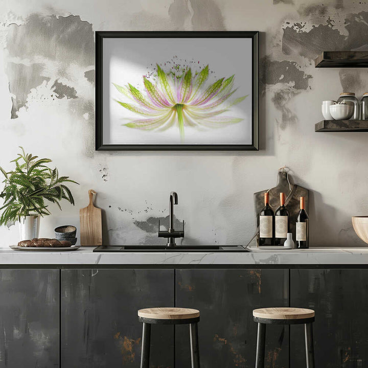 Delicate Pink Bloom - Floral Photographic Stretched Canvas Poster or Fine Art Print
