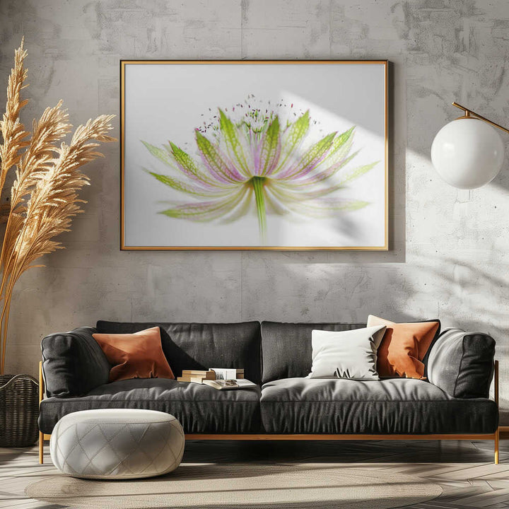 Delicate Pink Bloom - Floral Photographic Stretched Canvas Poster or Fine Art Print