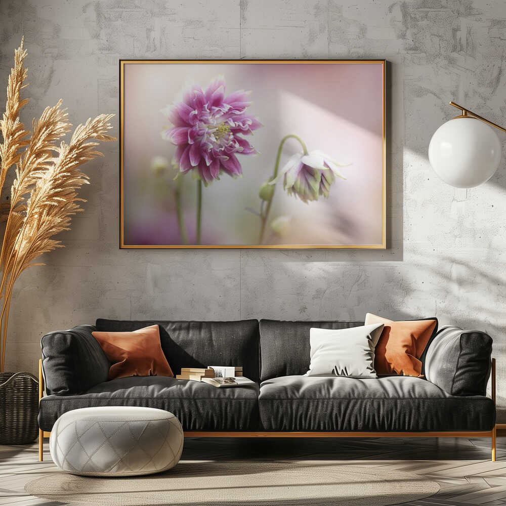 Delicate Pink Blooms - Floral Photographic Stretched Canvas Poster or Fine Art Print