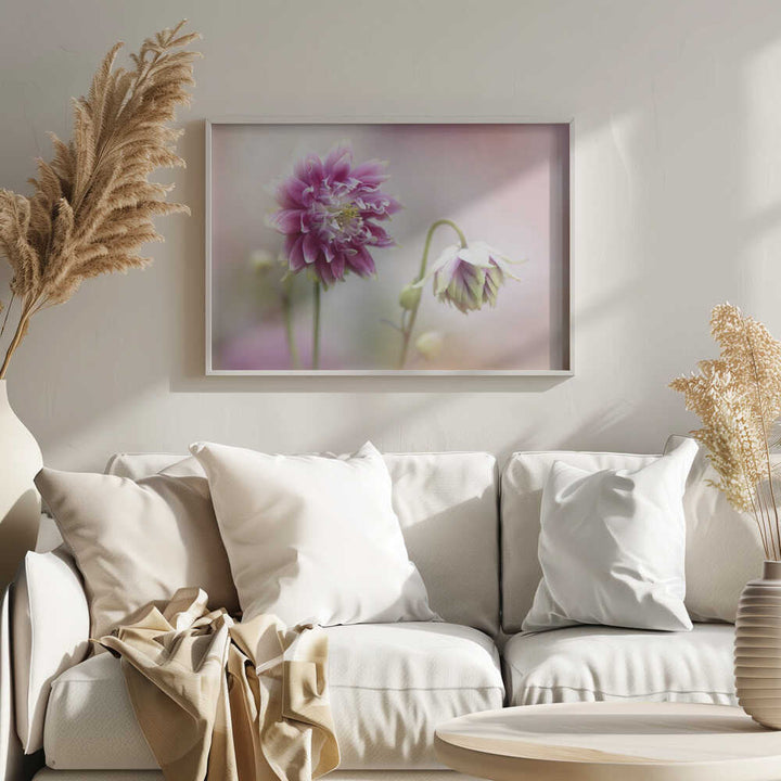Delicate Pink Blooms - Floral Photographic Stretched Canvas Poster or Fine Art Print