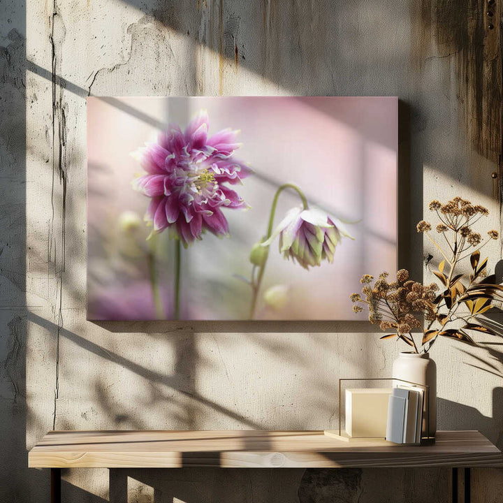 Delicate Pink Blooms - Floral Photographic Stretched Canvas Poster or Fine Art Print