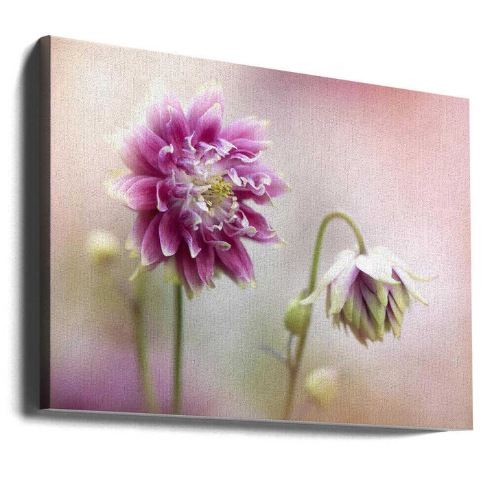 Delicate Pink Blooms - Floral Photographic Stretched Canvas Poster or Fine Art Print