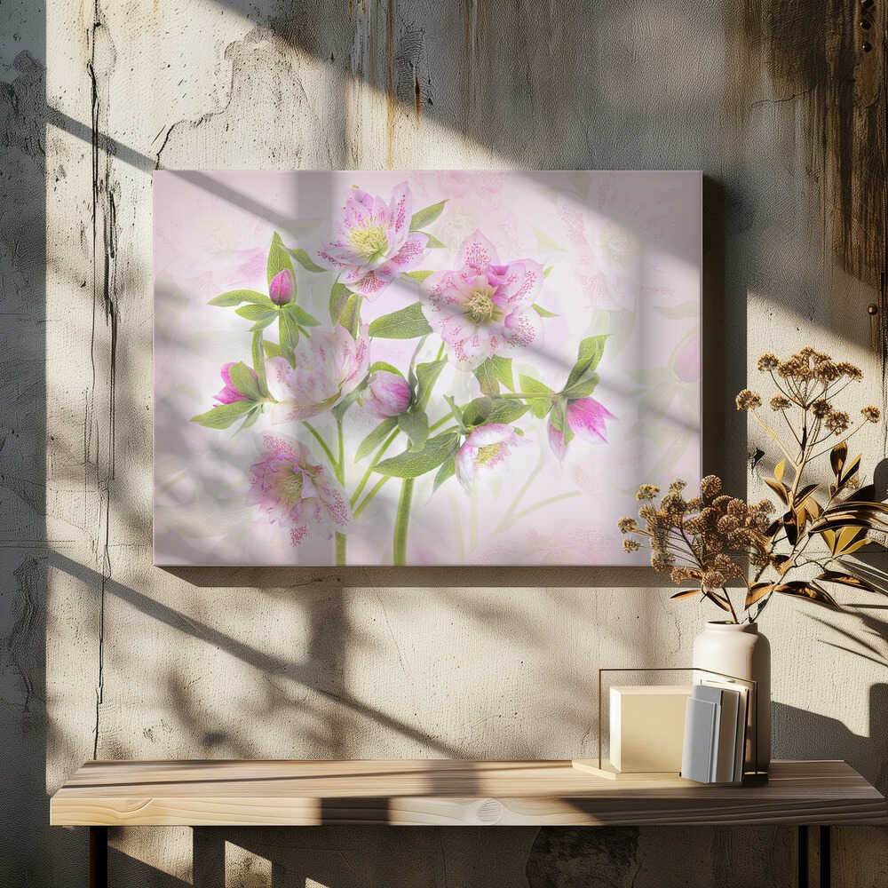 Delicate Pink Hellebores - Floral Photographic Stretched Canvas Poster or Fine Art Print