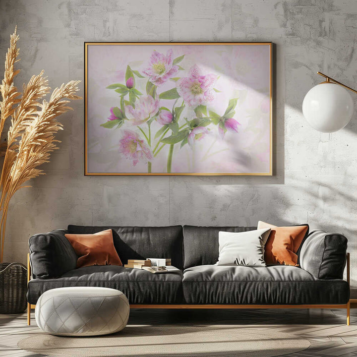 Delicate Pink Hellebores - Floral Photographic Stretched Canvas Poster or Fine Art Print