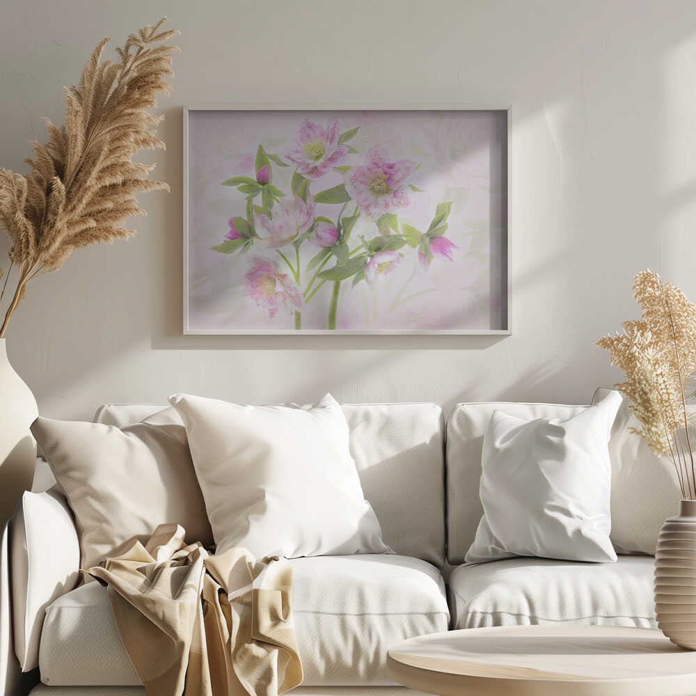 Delicate Pink Hellebores - Floral Photographic Stretched Canvas Poster or Fine Art Print
