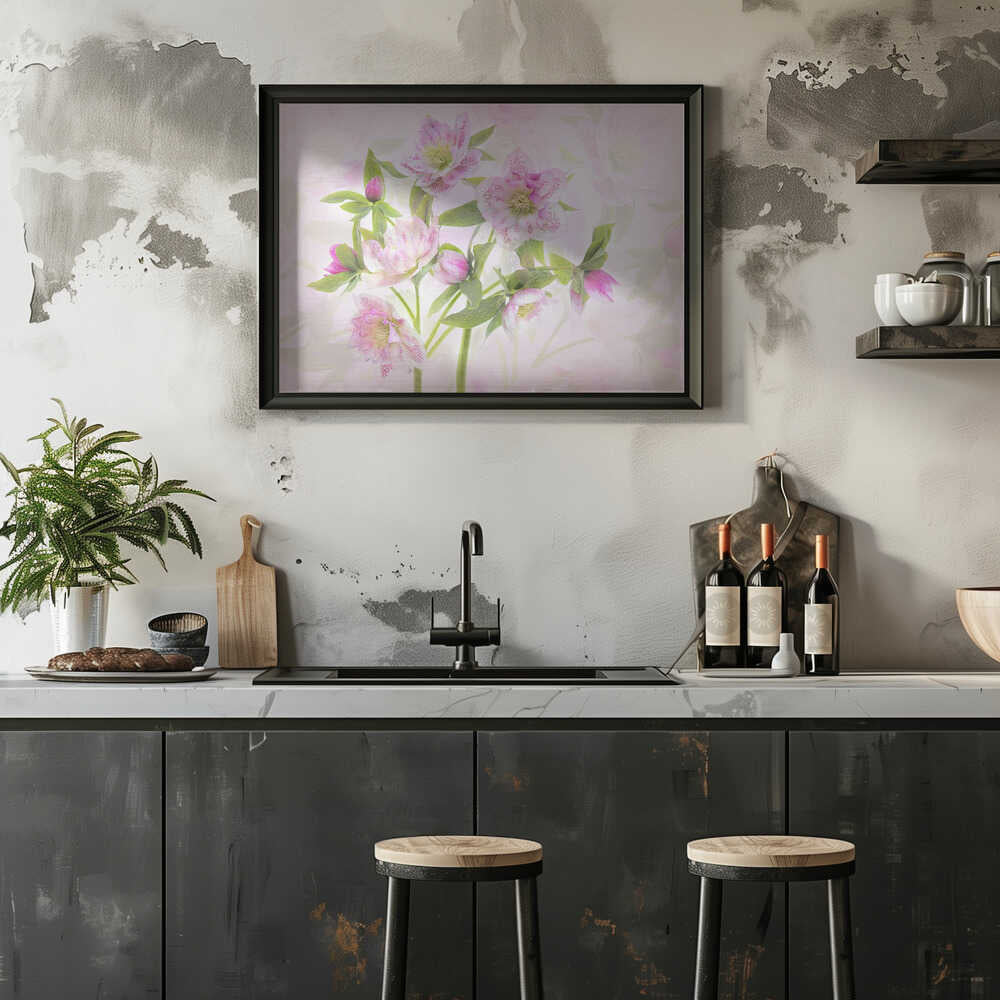 Delicate Pink Hellebores - Floral Photographic Stretched Canvas Poster or Fine Art Print