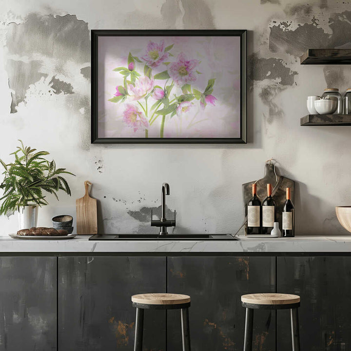 Delicate Pink Hellebores - Floral Photographic Stretched Canvas Poster or Fine Art Print