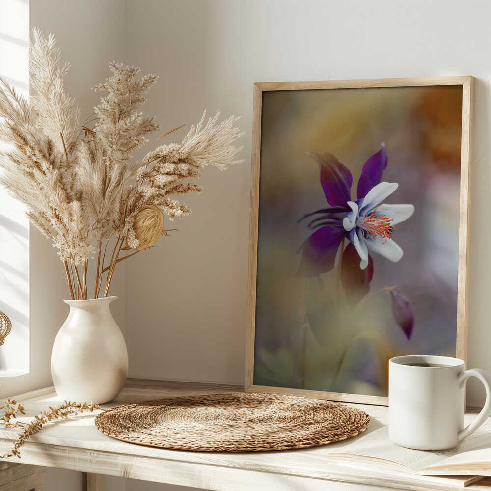 Delicate Purple Bloom - Floral Photographic Stretched Canvas Poster or Fine Art Print
