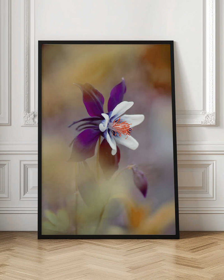 Delicate Purple Bloom - Floral Photographic Stretched Canvas Poster or Fine Art Print