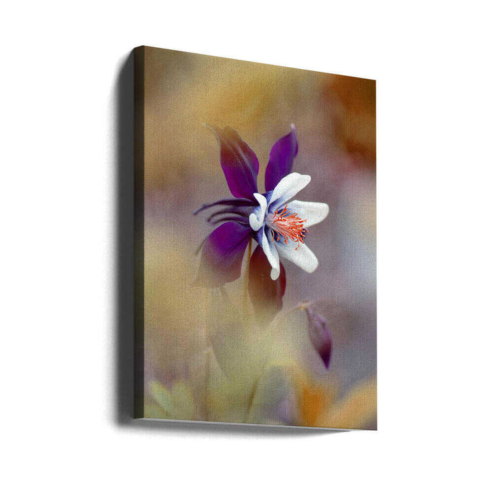Delicate Purple Bloom - Floral Photographic Stretched Canvas Poster or Fine Art Print